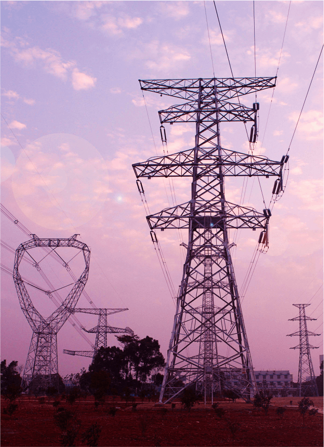 電力電網（電力行業）